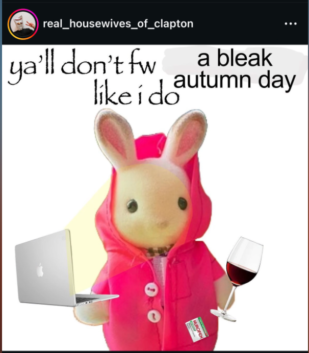 cozy autumn meme